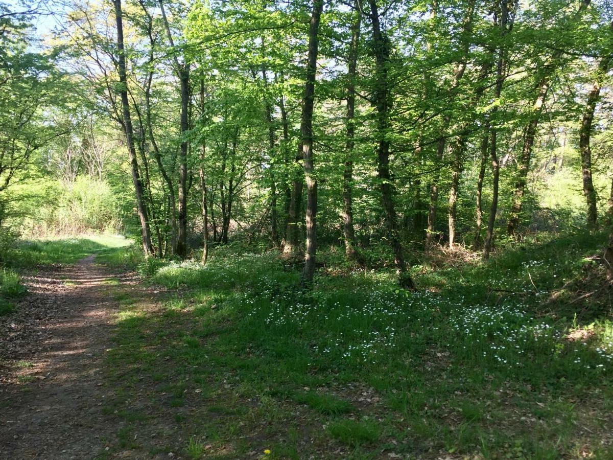 Camping Du Canal Kembs Dış mekan fotoğraf
